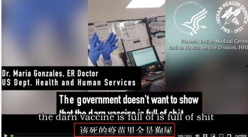 真相工程爆料视频大全集,视频大全集深度解析